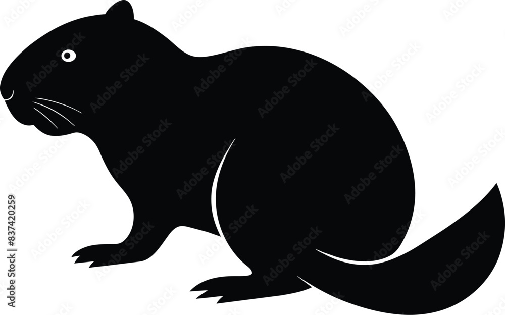 illustration of a squirrel