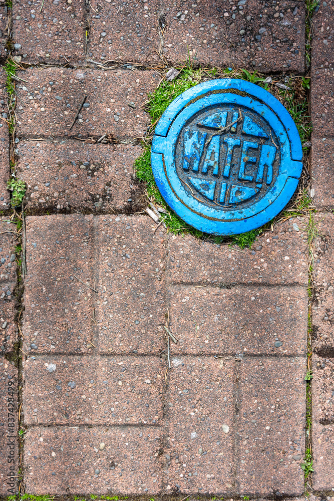 Small round blue painted water utility access cover in brick sidewalk
