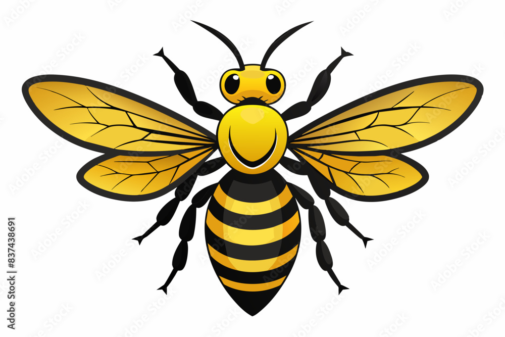 bee vector illustration bee vector illustration