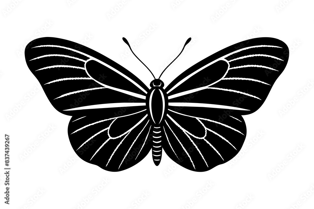 butterfly silhouette vector illustration butterfly silhouette vector illustration