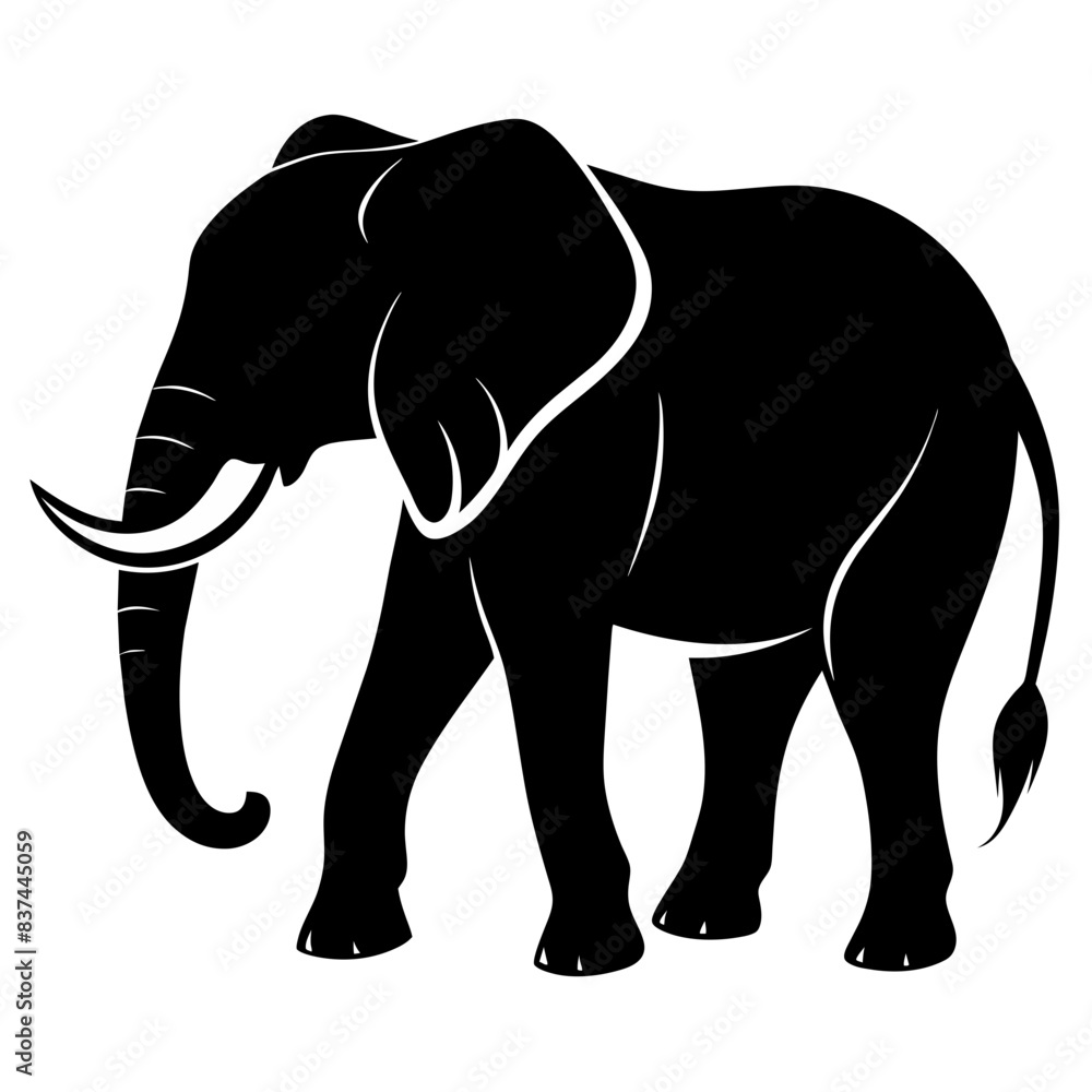 Fototapeta premium silhouette elephant isolated on a white background