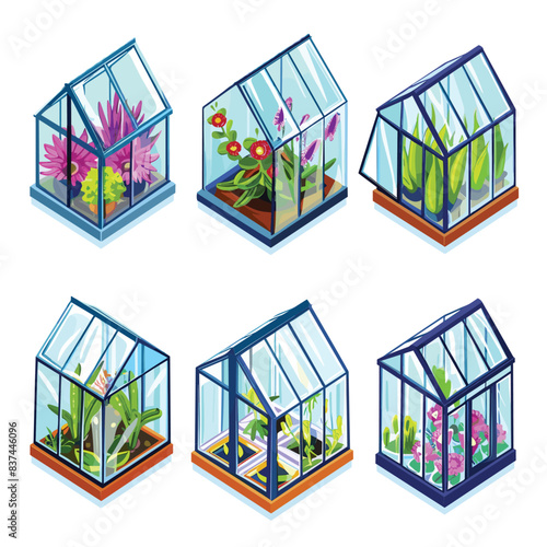 Set six colorful tabletop greenhouses various plants. Isometric botanical illustrations feature flowers, foliage inside mini glasshouses. Gardening concept, home decor, indoor plant cultivation