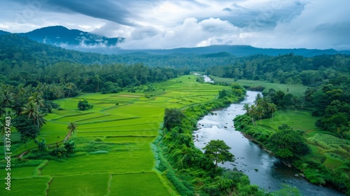 Lush Green Paddy Fields with Flowing River for Nature and Travel Promotions