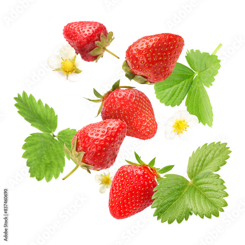 Ripe strawberries and flowers in air on white background
