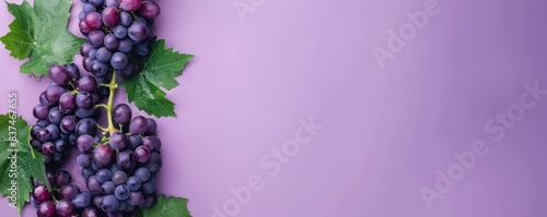 A cluster of fresh purple grapes with green leaves against a vibrant purple background, ideal for health and nutrition concepts. photo