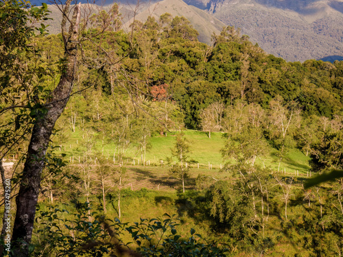  View of the forests of alders, eucalyptus and oak trees, and the farmlands in the eastern Andean mountains of central Colombia, at sunset. photo