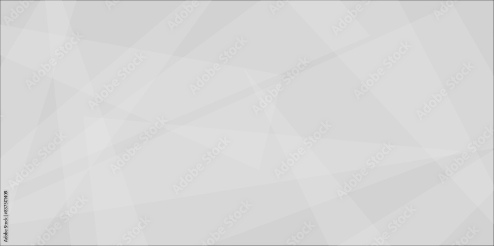 abstract white and grey background. space design concept with triangular bright light with soft shadows as pattern shape modern white and grey geometric banner