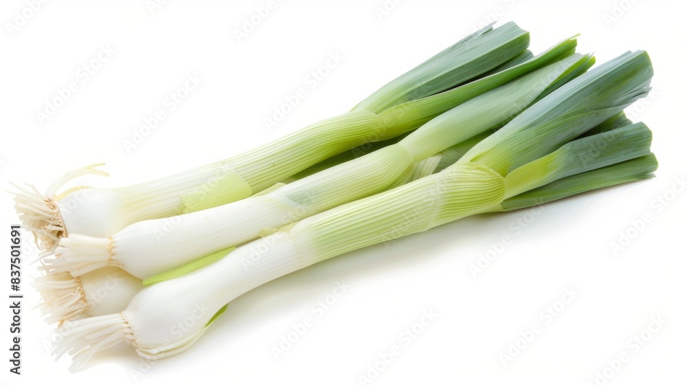 fresh leek isolated on white background. vegetable food concept fresh leek isolated on white background. vegetable food concept