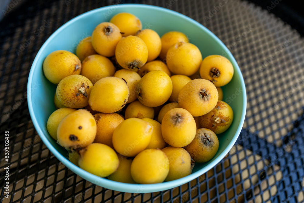 Loquat fruit in a bowl, small plum
Loquat fruit in a bowl, small plum