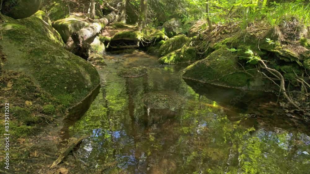 River flowing through a lush, green forest. Moss coveded shores on both sides enrich the beautiful scene. Slow-motion footage of the Vkadaya river in Vitosha mountain, near Sofia, Bulgaria. River flowing through a lush, green forest. Moss coveded shores on both sides enrich the beautiful scene. Slow-motion footage of the Vkadaya river in Vitosha mountain, near Sofia, Bulgaria.