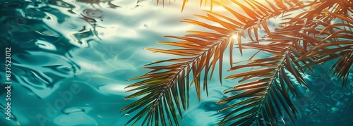 Summer abstract background with palm tree leaves