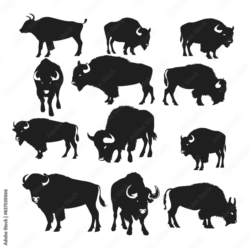 Obraz premium Long horn cattle animals america forest silhouette Vector