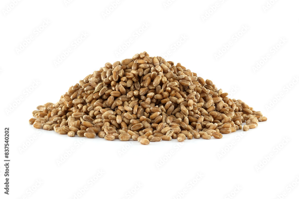 Closeup pile of wheat grains for natural food isolated on white background Closeup pile of wheat grains for natural food isolated on white background