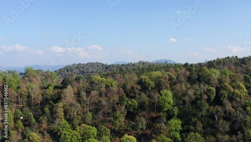 Aerial photography of the primeval forest scenery of Jingmai Mountain in Yunnan Province photo