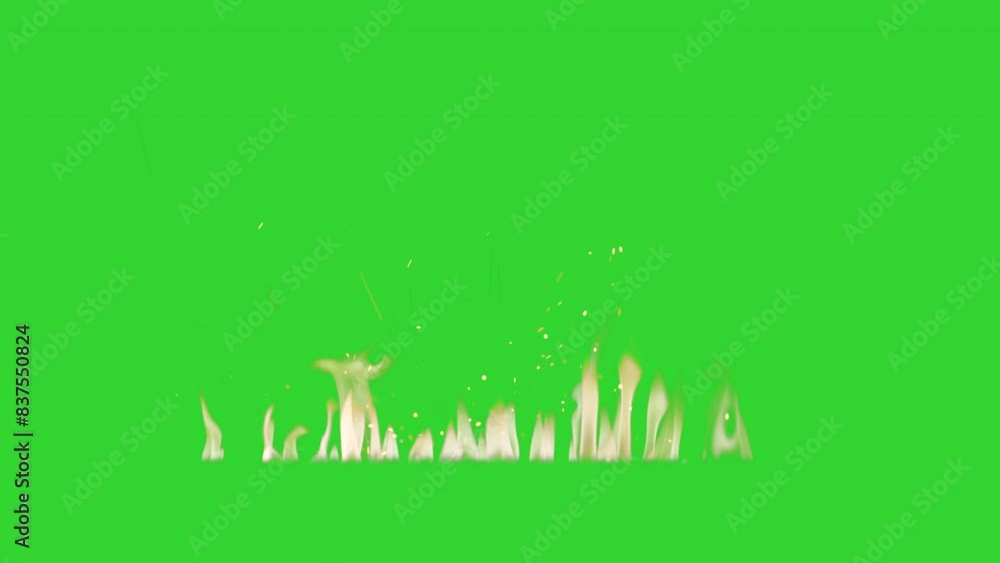 Fire flame on green screen VFX Fire flame on green screen VFX