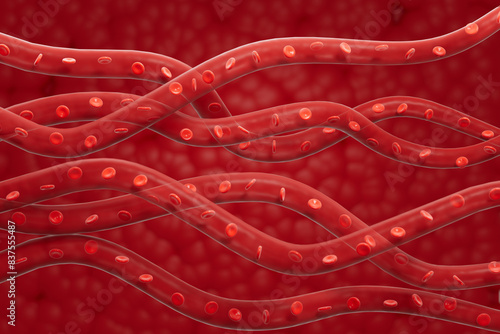 3d rendering blood vessel flow picture