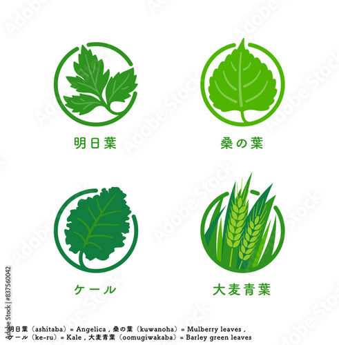 青汁の原材料の明日葉、桑の葉、ケール、大麦青葉のアイコンおよびマークのセット