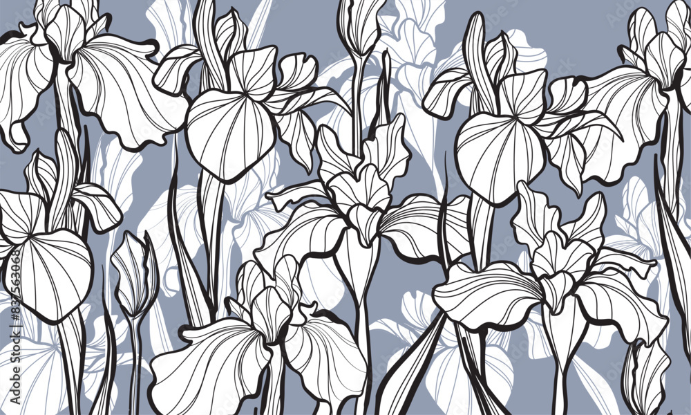 Set of Beautiful Iris Flower Line Art Illustration. Sketch of blossoming irises. Vector Iris floral botanical flower. Wild spring leaf wildflower isolated. Isolated irises illustration element.