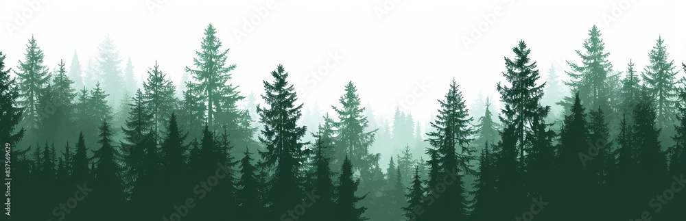Forest blackforest  illustration banner landscape panorama - Green silhouette of spruce and fir trees, isolated on white background, Generative AI