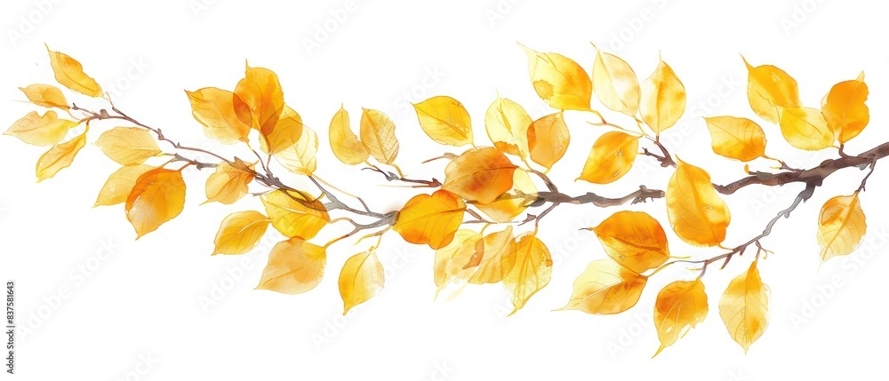 Yellow leaves, special effects, pure white background Yellow leaves, special effects, pure white background