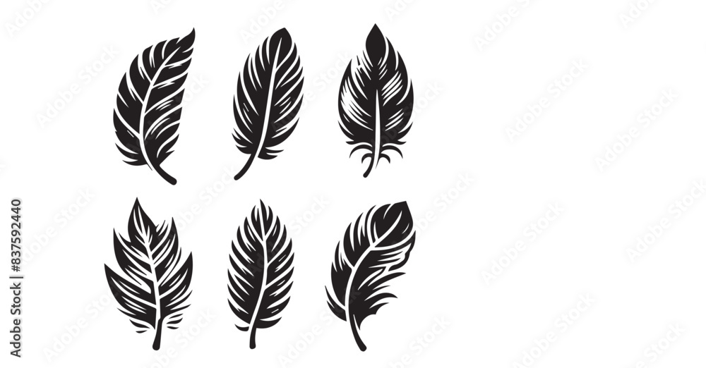 Fototapeta premium silhouette Feather Set icon type, distinct feather logo position, isolated on a white background