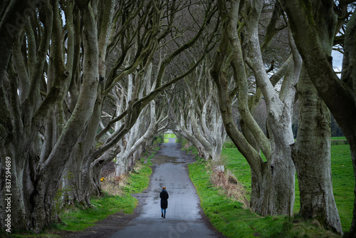 A road runs through the Dark Hedges tree tunnel with the woman at sunrise in Northern Ireland, travel concept photo