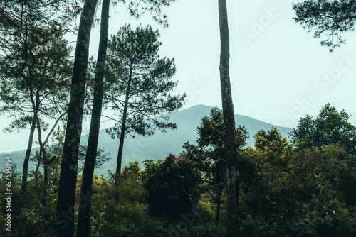 photo of Mount Ciremai during morning camping photo