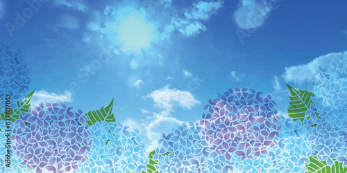 アジサイ　梅雨　花　背景	