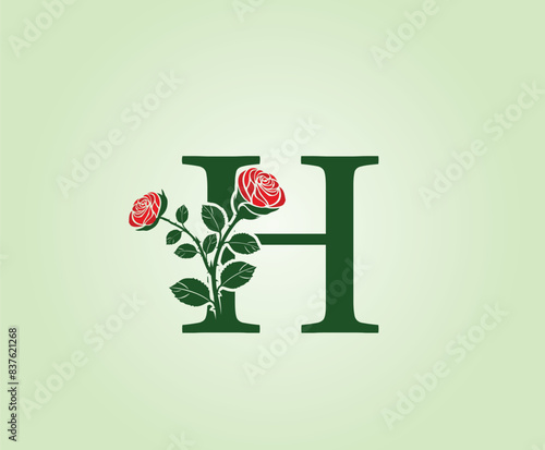 H Letter design with red rose flower and leaves on a green background. Initial LetterH Vector Illustration combined with Botanical elements. photo