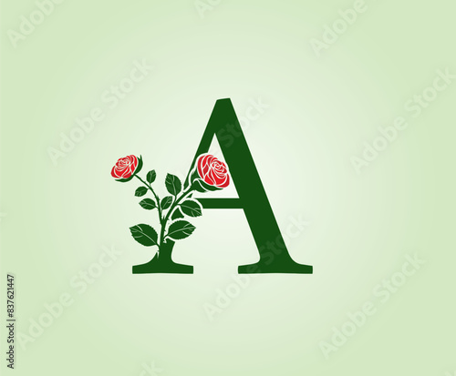 A Letter design with red rose flower and leaves on a green background. Initial Letter A Vector Illustration combined with Botanical elements.