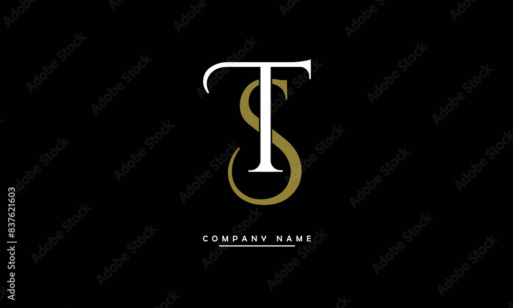 TS, ST, T, S Abstract Letters Logo Monogram TS, ST, T, S Abstract Letters Logo Monogram