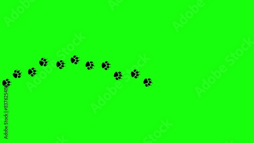 Paw footprint animation on green screen. Dog foot footage, Cat feet video, puppy pet footprint walk, Animated Animal foot print icon in 4k photo