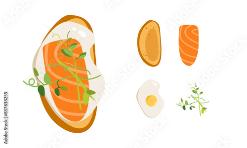 Egg, microgreen and salmon toast. Delicious sandwich made of fresh toasted bread smoked lox. Seasoning and dill on top. Hand drawn vector illustration.