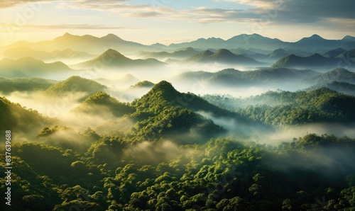 Aerial View of Lush Jungle Canopy at Sunrise with Misty Mountains, Golden Hour Soft Lighting and Green Hues of Nature