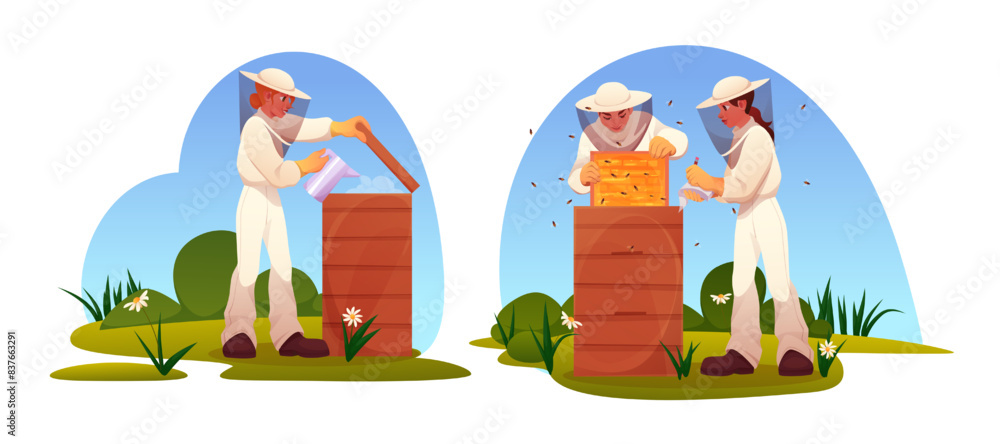Fototapeta premium Beekeeper with beehive boxes. Apiarist in uniform collecting honey. Farmer smoking bees. Hive keeper. Apiary farm. Garden flowers pollen. Flying insect. Countryside landscape. Vector apiculture set