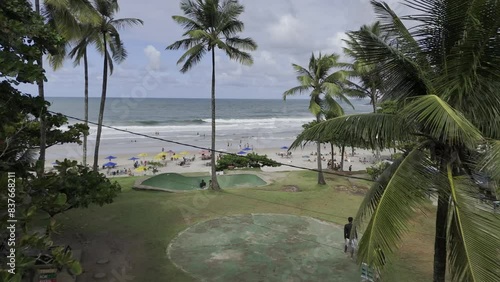 Drone flies low through palm trees over Tiririca Beach toward the open sea photo