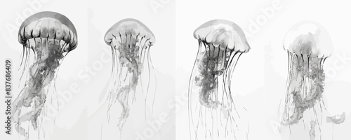 Jellyfish | Minimalist and Simple set of 3 Line White background - Vector illustration