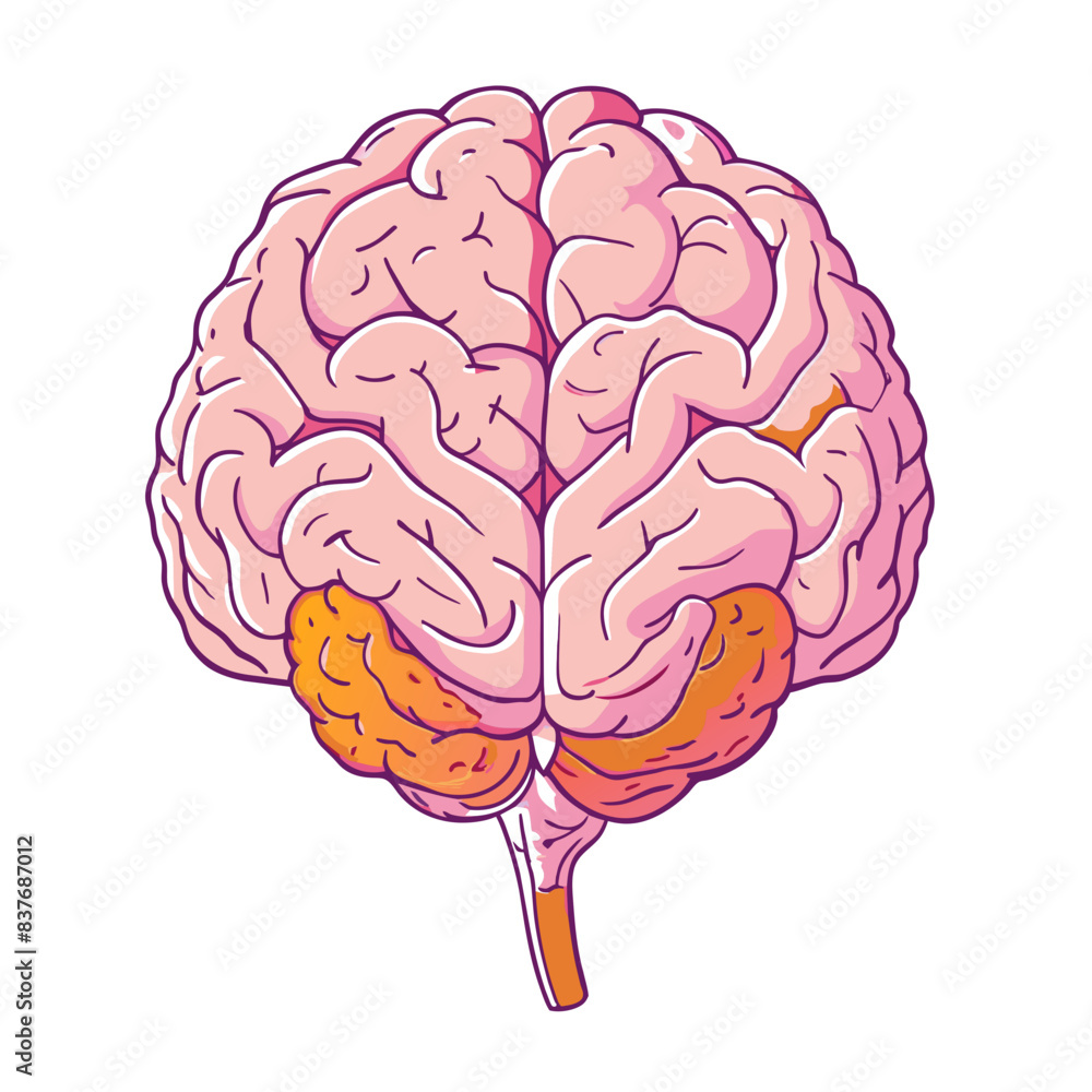 Human brain Human brain