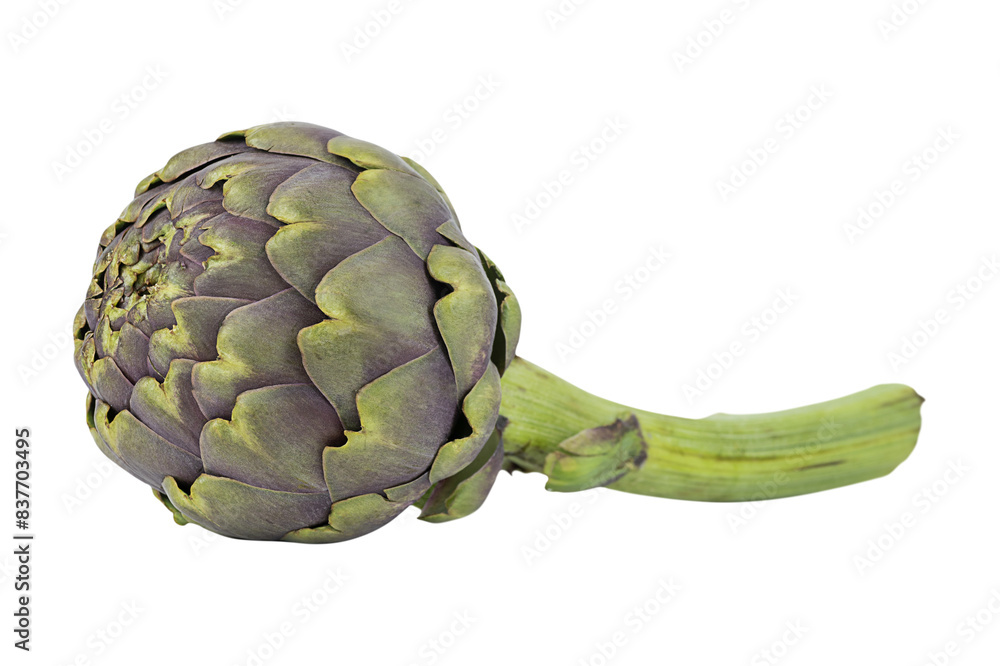 Obraz premium Artichoke isolated on transparent background