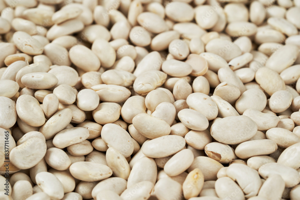 close up raw white bean food background texture close up raw white bean food background texture