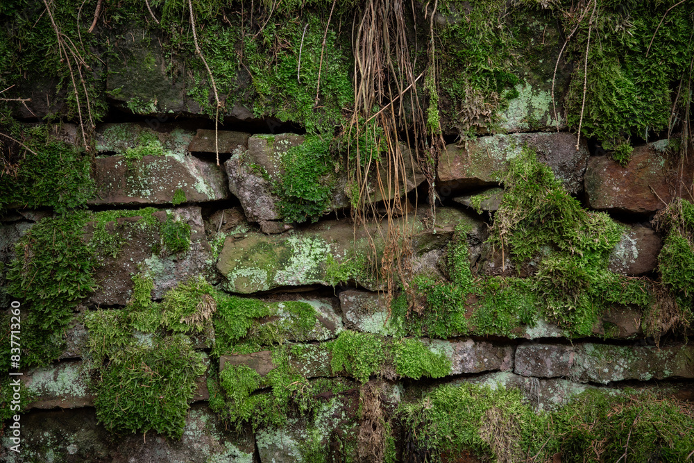 Fototapeta premium Background of old stone wall