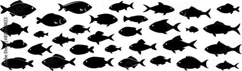 Vektor Set verschiedene Fische