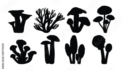 The set silhouettes of forest mushrooms.
