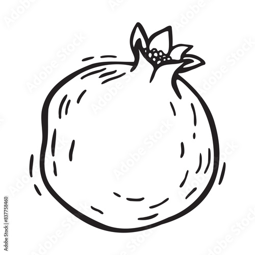 Whole pomegranate fruit. Vector botanical black and white hand drawn illustration in linocut style on isolated background. Drawing for design of food and cosmetics packaging, menus, cards, posters.