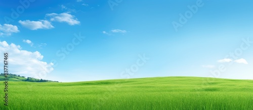 The scenic view of green grass contrasts with the clear blue sky  creating a serene landscape with copy space image.