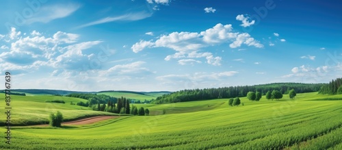 Green hills of a plowed agricultural field and forest. Idyllic summer rural scene. Clear sky after the rain. Pure nature  environnement  farm  countryside living  ecotourism. Panoramic view.