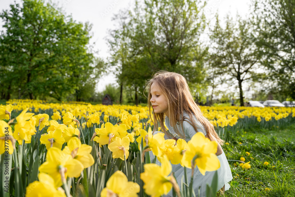 Girl smelling daffodil in field on sunny day Girl smelling daffodil in field on sunny day