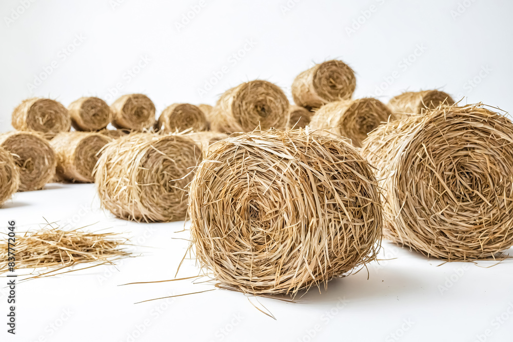 Hay Bales on White Background
