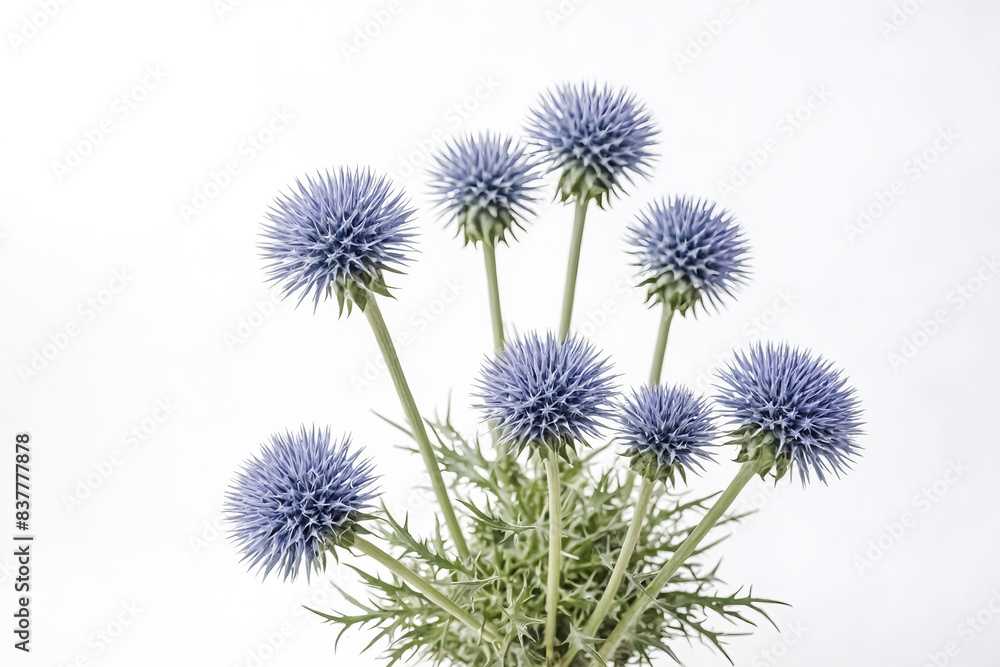 Obraz premium Purple Flower Bouquet on White Background