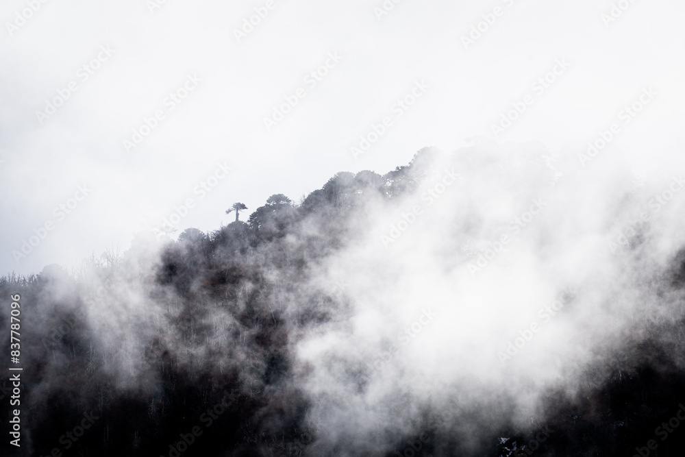 Fototapeta premium Beautiful landscape of Araucania Andina in Chile's Araucania Region.